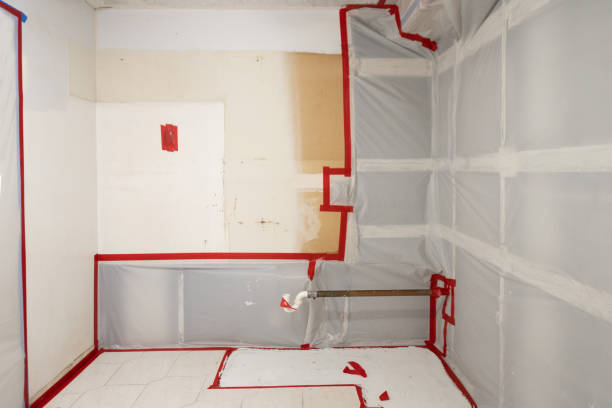 Best Mold Removal for HVAC Installations  in Lexington, WA